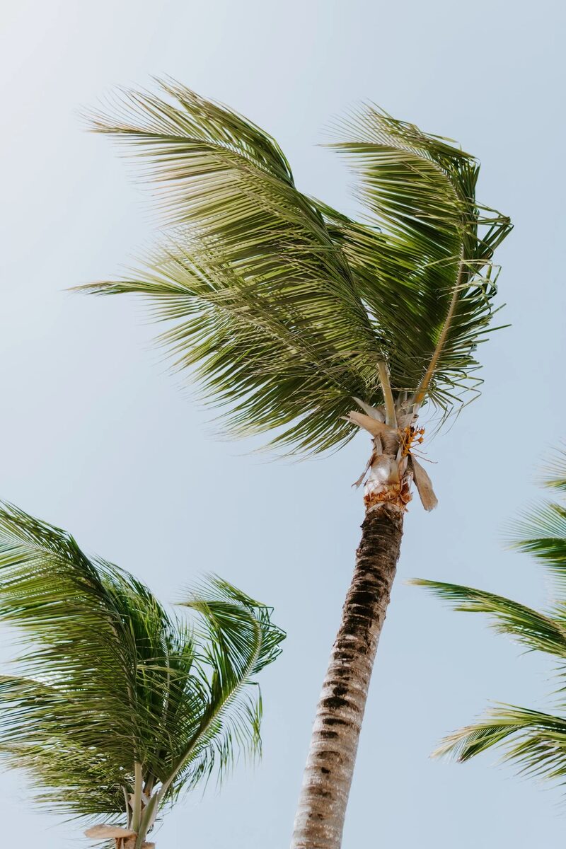 Les 7 avantages de la formation à la résilience pour votre organisation
